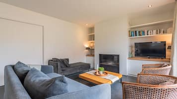 TV, fireplace, books, stereo