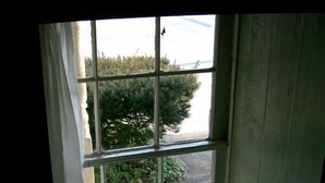 A window with a view of a driveway and greenery outside.