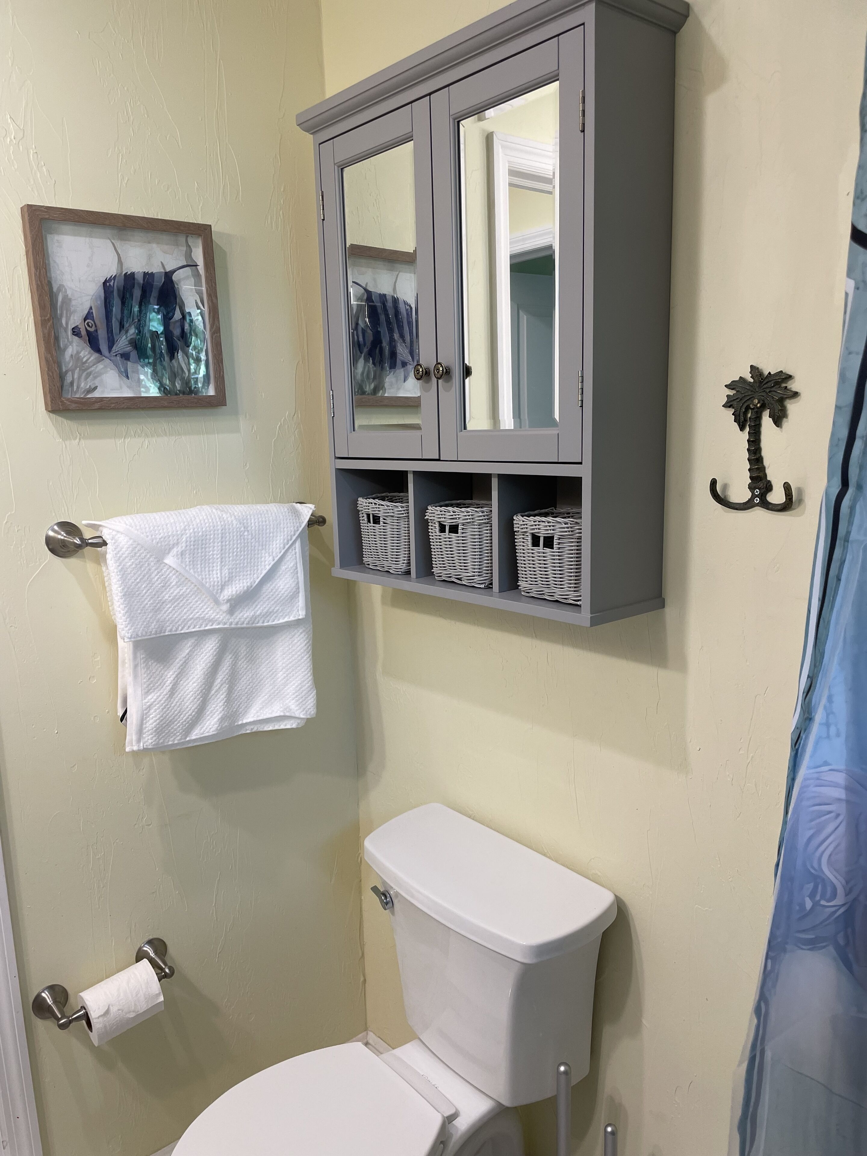 Ein Badezimmer mit Toilette, Handtuchhalter, einem Schrank mit Spiegel und einem dekorativen Haken.