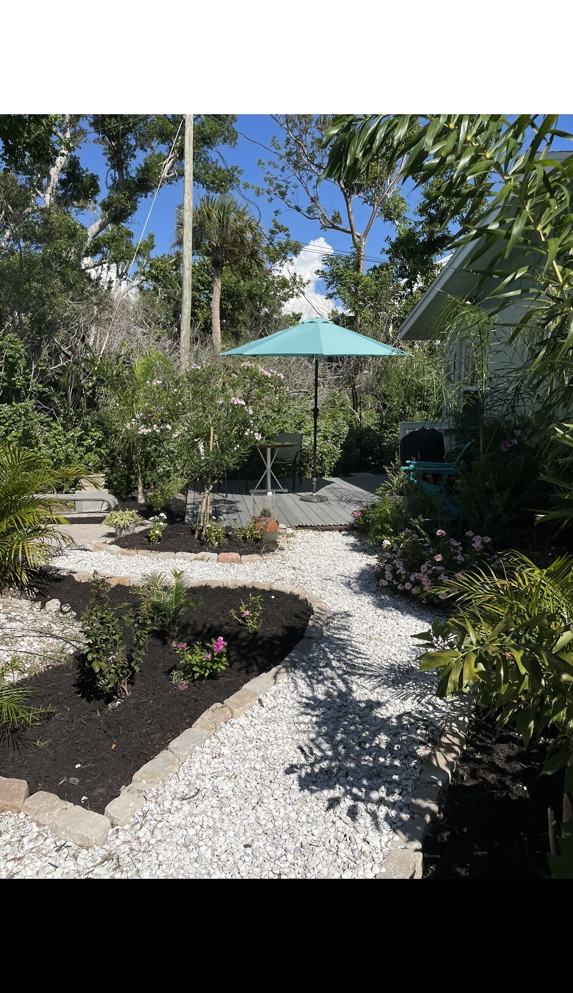 Un sendero en un jardín que lleva a una zona de estar con una sombrilla verde, rodeada de diversas plantas y árboles.