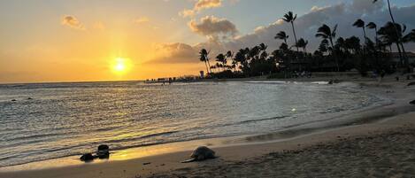 サンラウンジャー、ビーチタオル