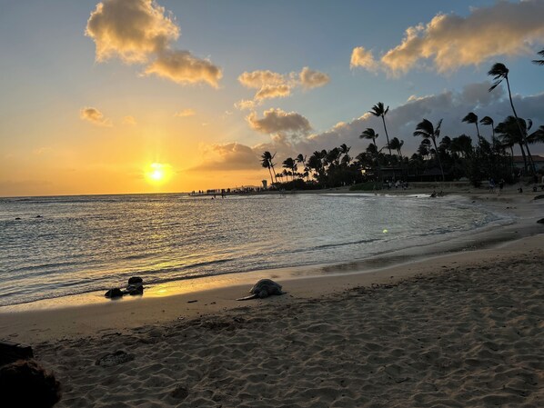 Sun-loungers, beach towels