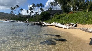 Ein Strand mit klarem, flachen Wasser, einem sandigen Ufer und Palmen im Hintergrund.