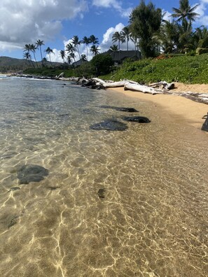 On the beach, sun-loungers, beach towels