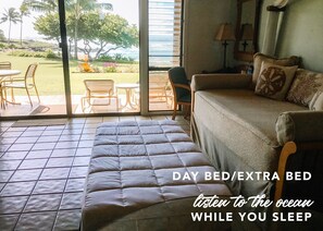 Smart TV, Netflix, DVD player, books