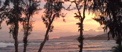 On the beach, sun-loungers, beach towels