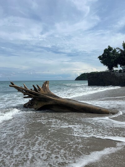 Mountain bungalow and Birders Dream