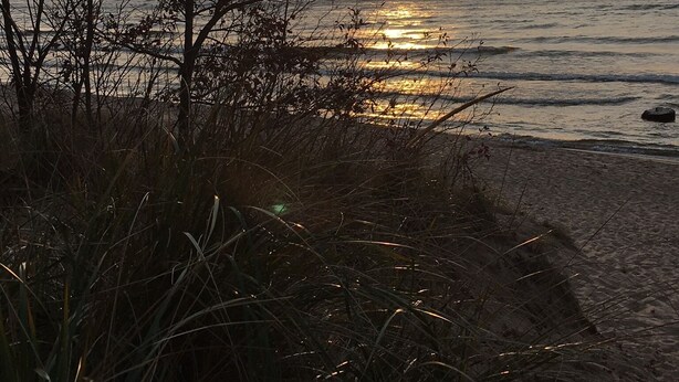 A beach scene with a sunset, trees, and the ocean. - Beautiful home in Picturesque setting just steps from Lake Michigan! (Fennville)