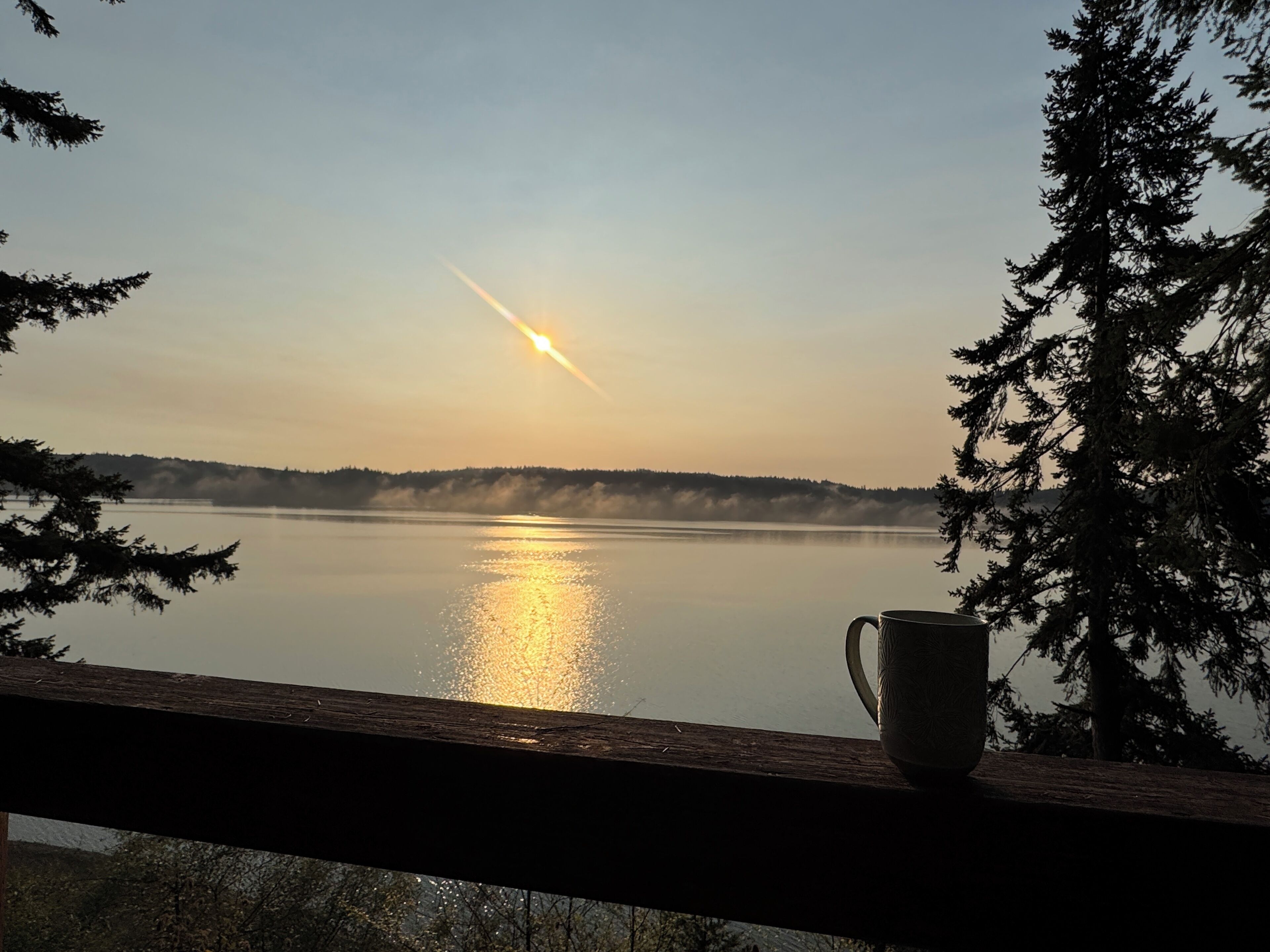 Een houten terras met uitzicht op een kalm meer bij zonsopgang, omringd door bomen.