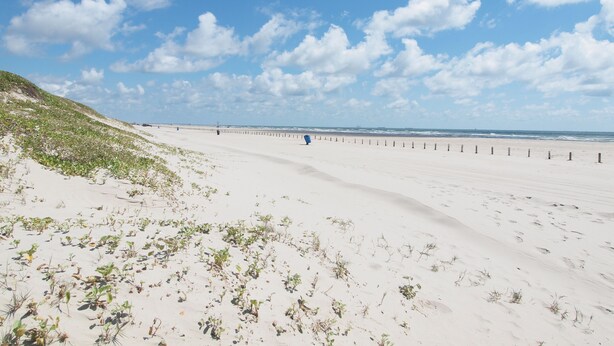 A wide sandy beach with sparse vegetation, a clear blue sky, and a distant pier. - Price DROP!August 28-29 weekendprice has dropped! Ocean View 2nd floor/2bd 2bath (Port Aransas)
