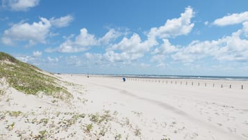 海滩