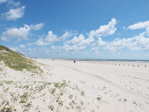 Ein weiter Sandstrand mit vereinzelter Vegetation, einem klaren blauen Himmel und einem in der Ferne liegenden Steg.