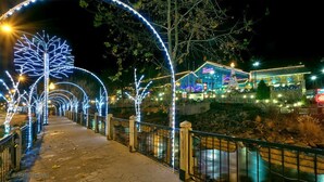 A pathway lined with illuminated trees and a building with a blue facade in the background.