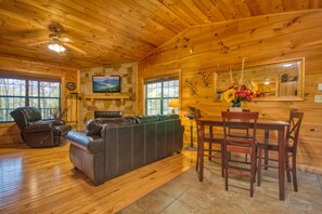 ทีวี, เตาผิง, เครื่องเล่นดีวีดี