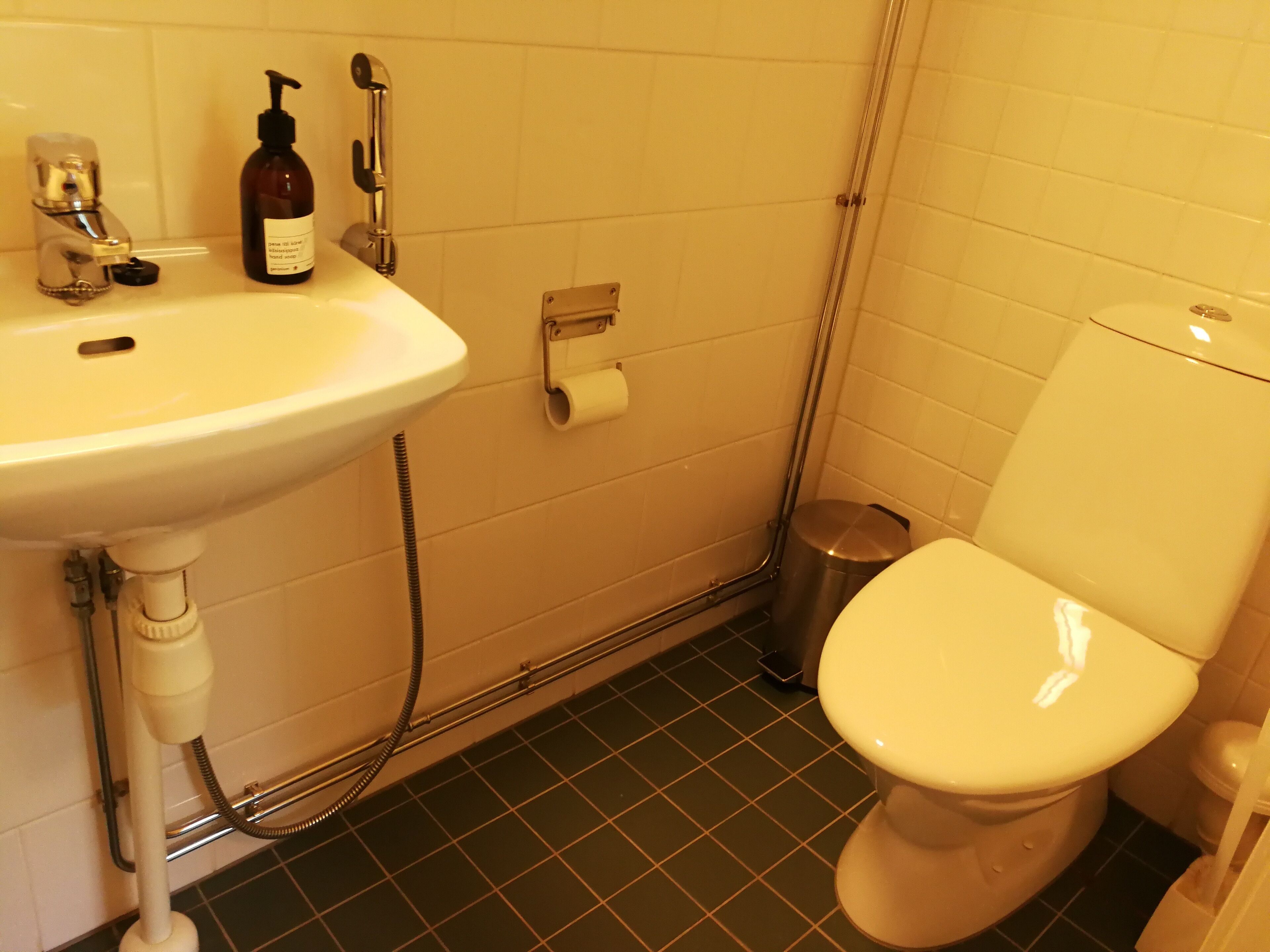 double room (red house) | bathroom | shower, free toiletries, towels