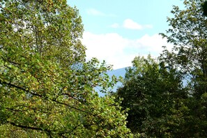 Ausblick vom Zimmer