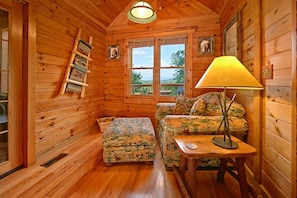 Fernseher, Kamin, DVD-Player