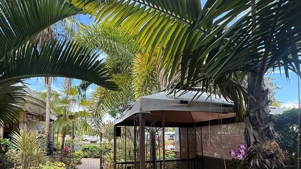 Zona salotto all'aperto riparata, con una panchina, circondata da vegetazione rigogliosa e palme.