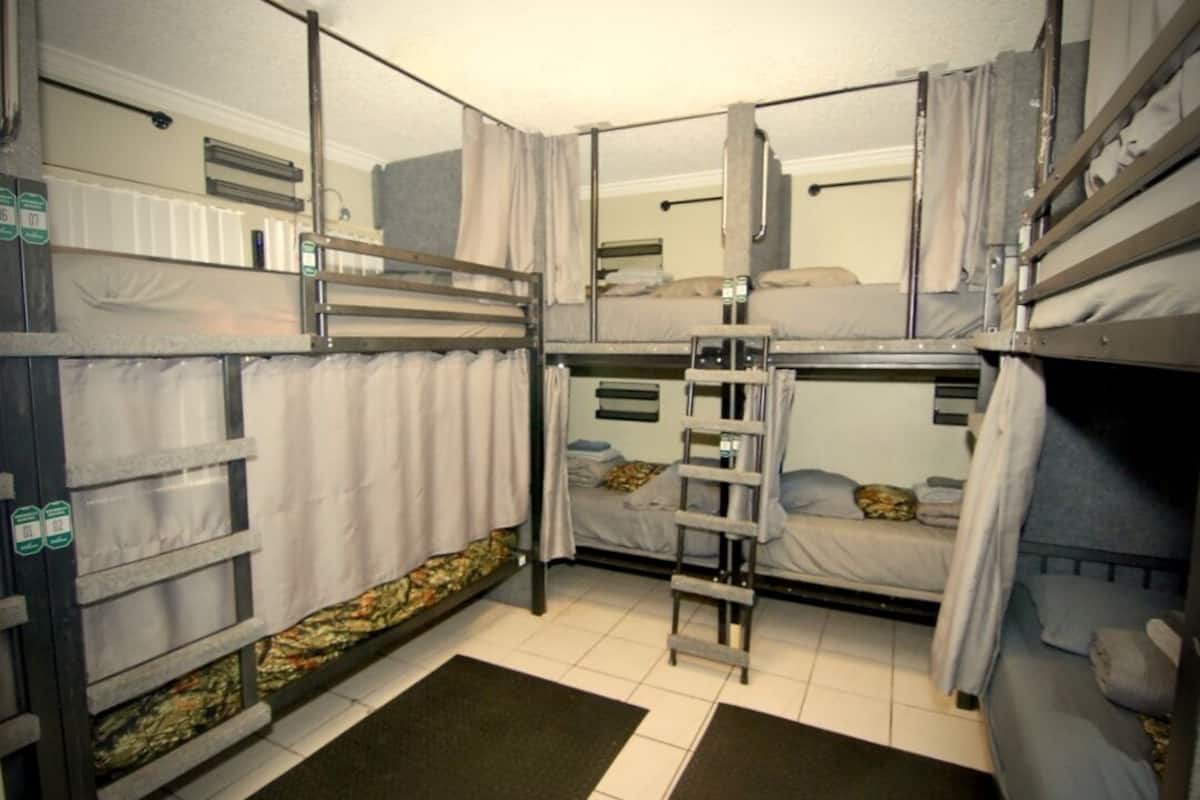 A dormitory room with bunk beds, a ladder, and a radiator.