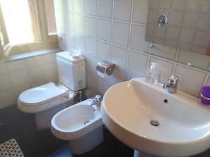 Habitación con 1 cama matrimonial o 2 individuales, baño en la habitación | Baño | Regadera, secadora de cabello, bidet 