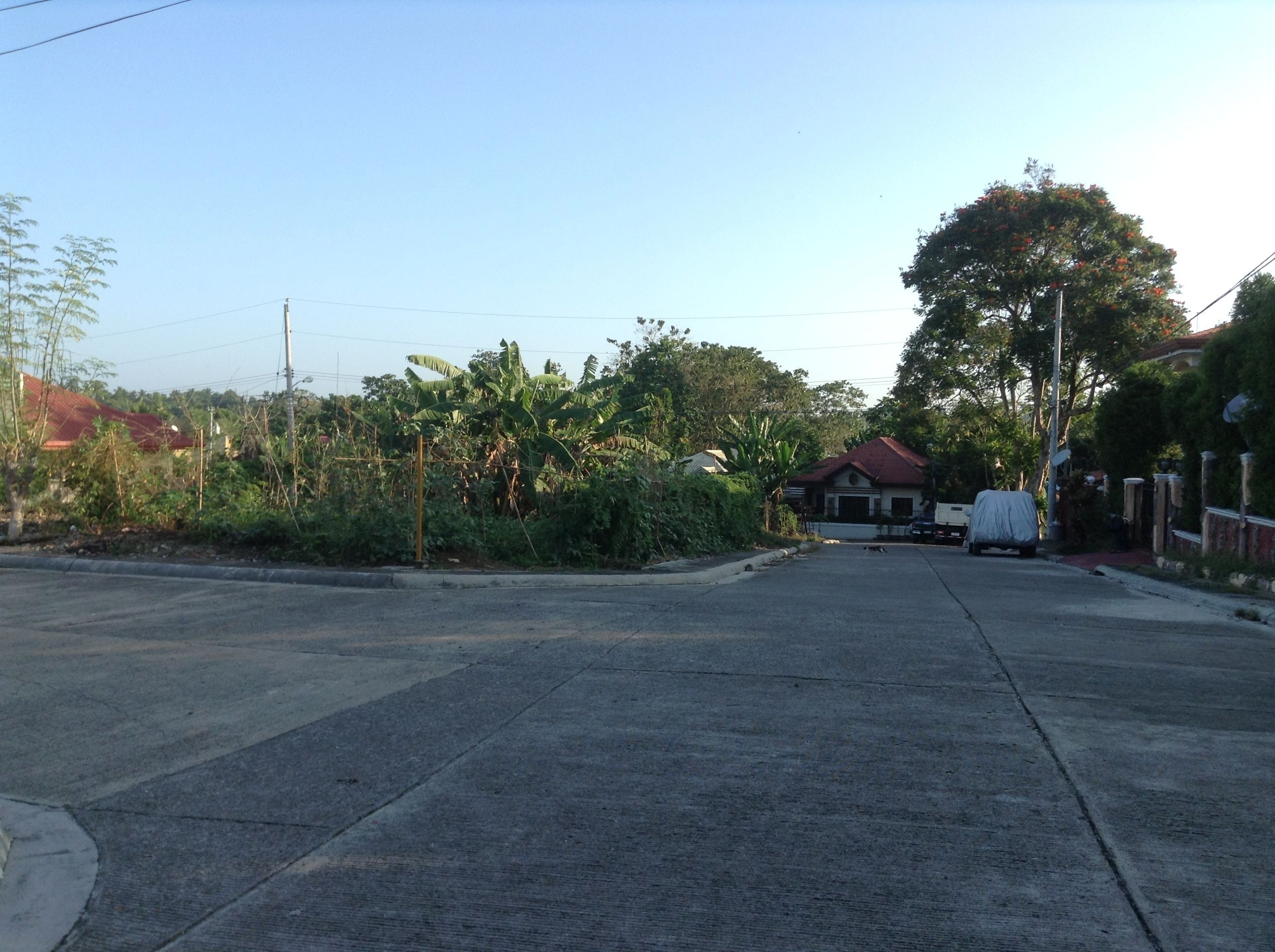 A quiet street with a house and a covered truck.
