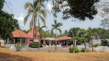 Televisión LED 32 pulgadas con canales de televisión por cable