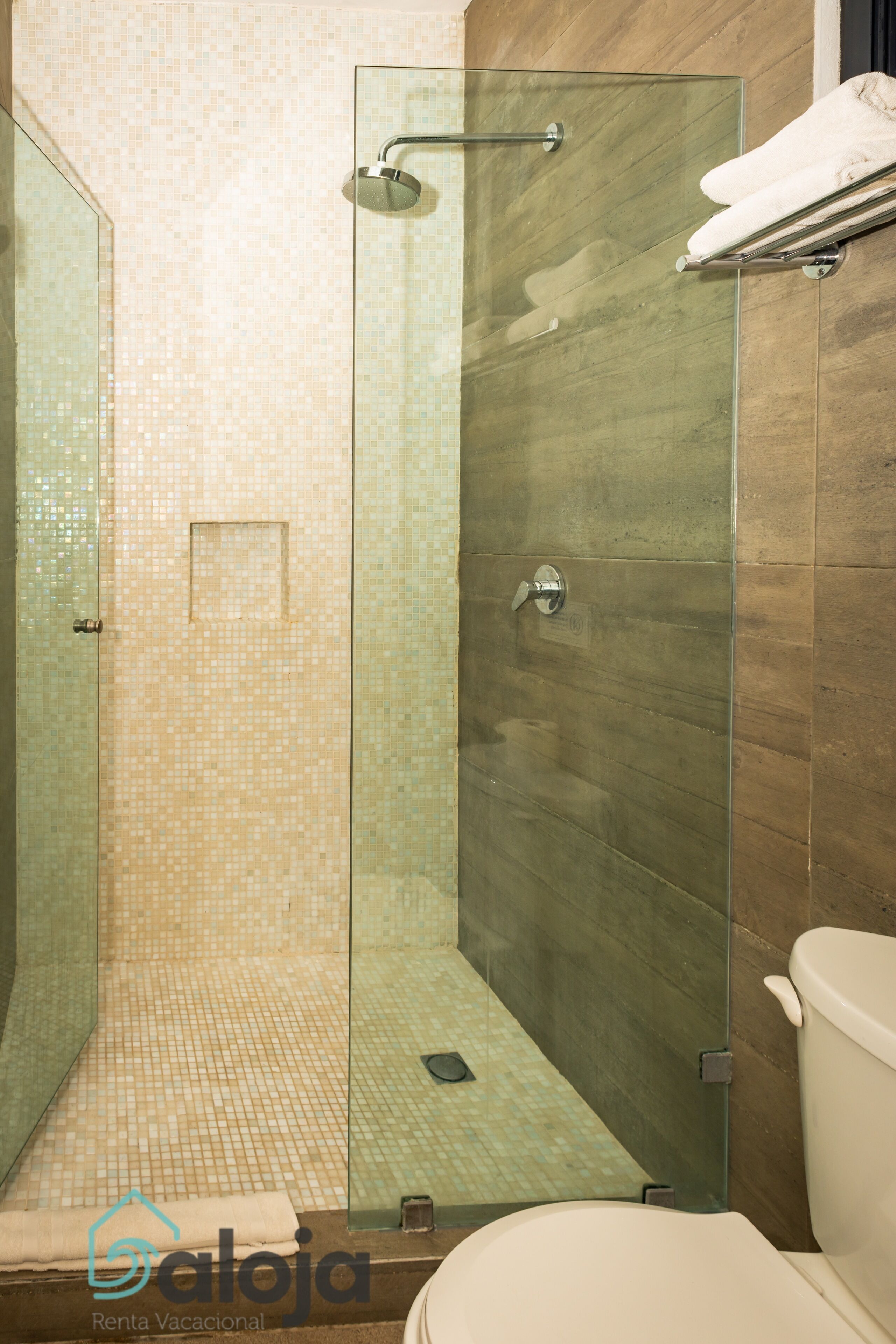 A bathroom with a glass shower enclosure, a toilet, and a towel rack.