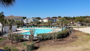 A swimming pool surrounded by lounge chairs and palm trees, with houses in the background. - Ironwood Apartment 1722 (North Myrtle Beach)