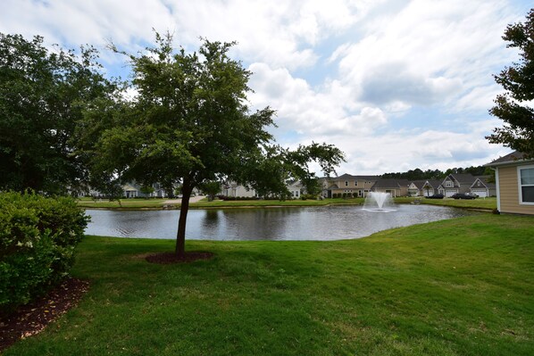 A residential area with a pond, a fountain, and houses in the background.