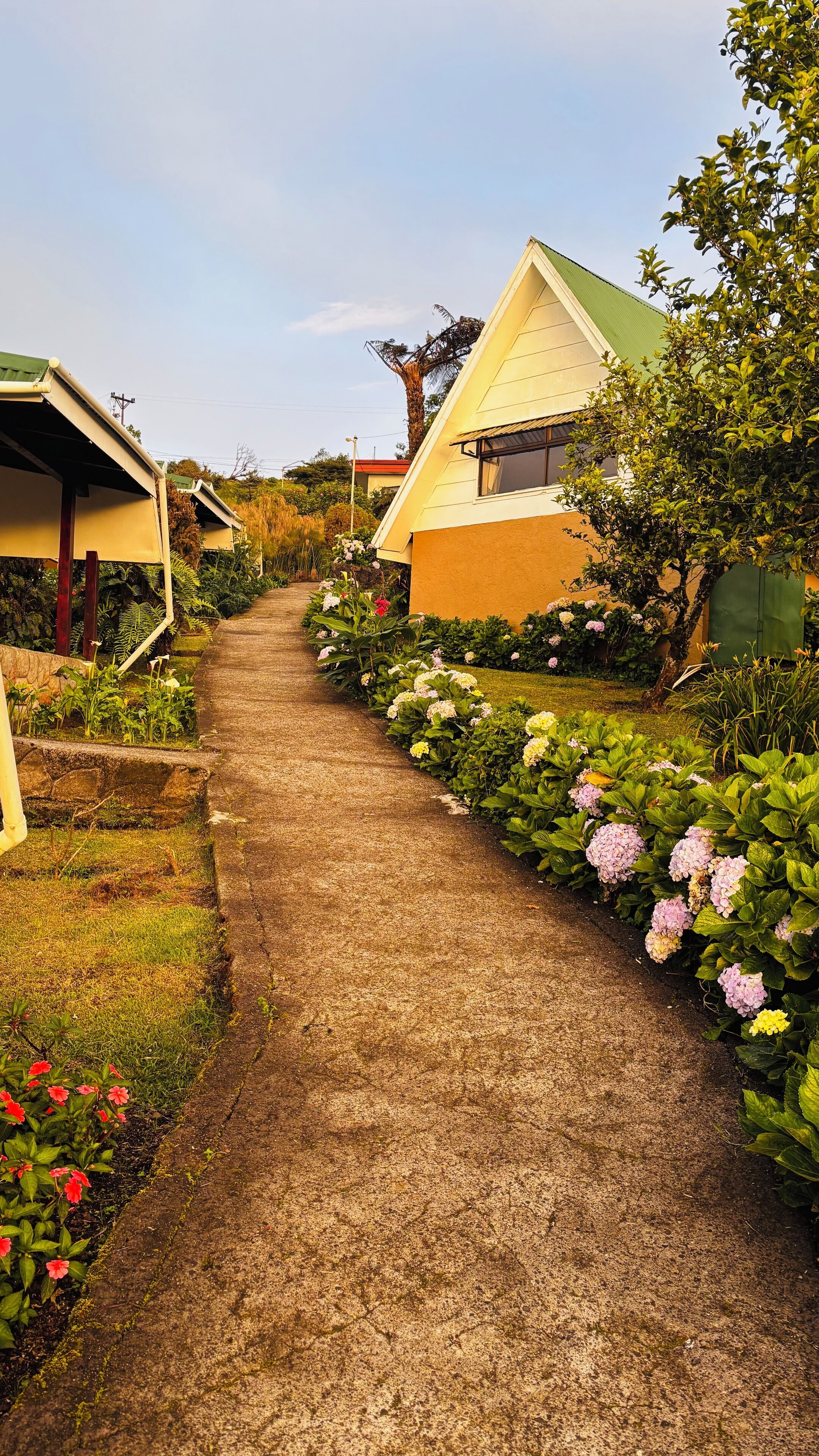 Un sendero bordeado de vegetación exuberante y pequeñas casas con tejados inclinados.
