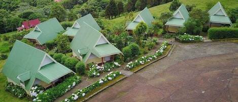 A cluster of green-roofed cottages with a garden path leading to a parking area.