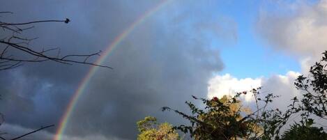 Paesaggio con un arcobaleno, vegetazione e cielo nuvoloso.