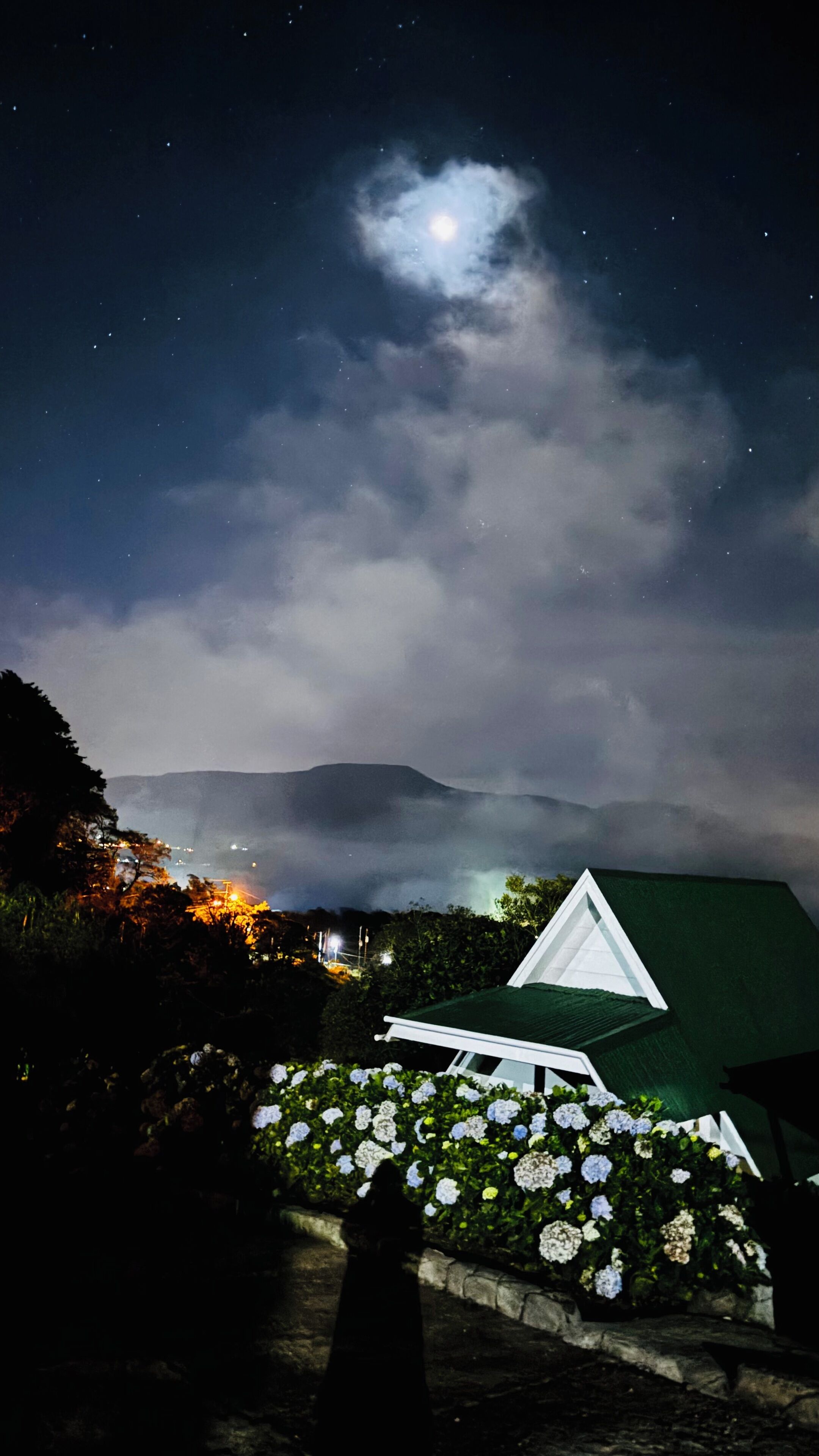 A night scene with a house, a person in a long coat, and a moon in the sky.