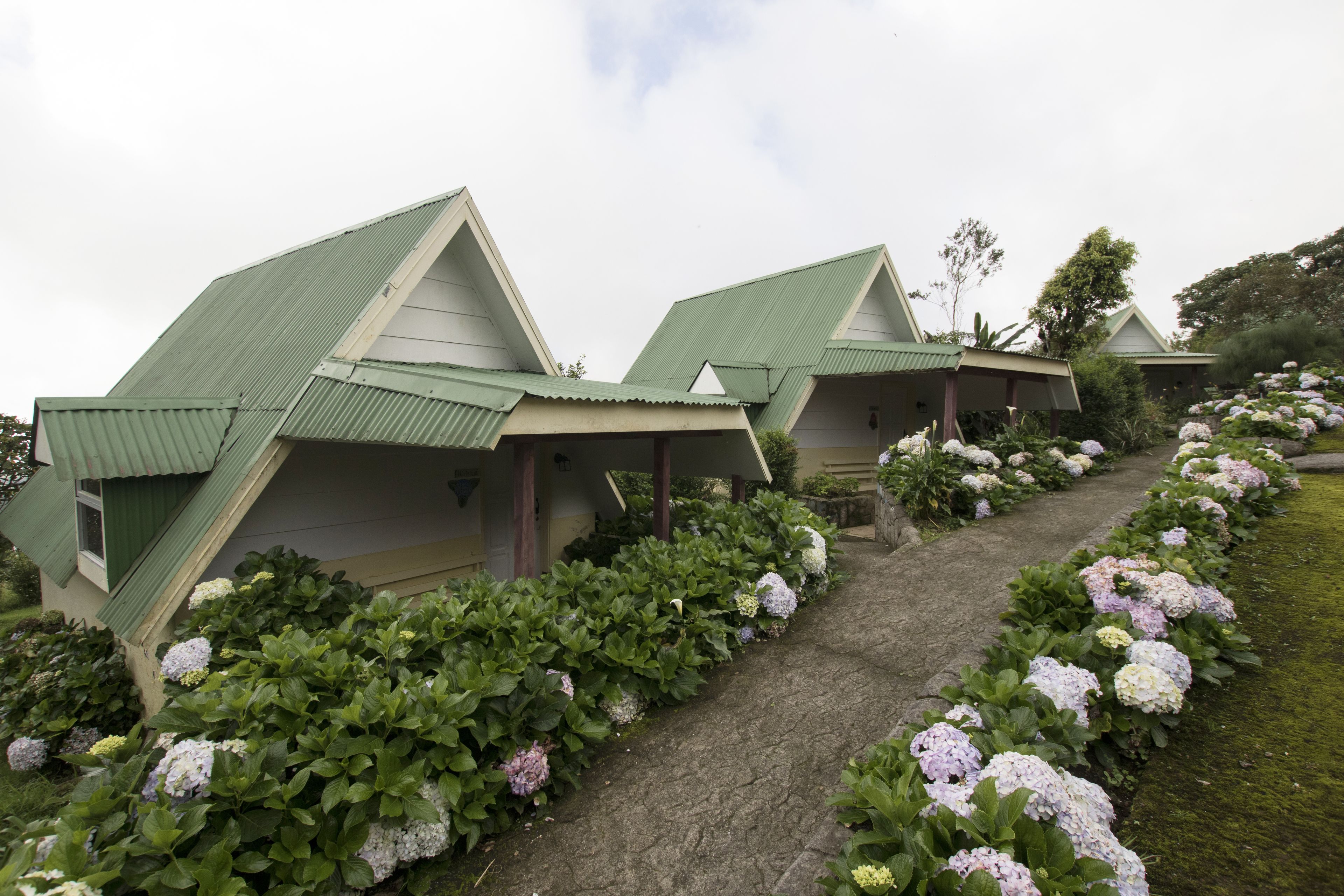 A row of three green-roofed cottages with a stone pathway leading to them, surrounded by lush greenery and hydrangea flowers.
