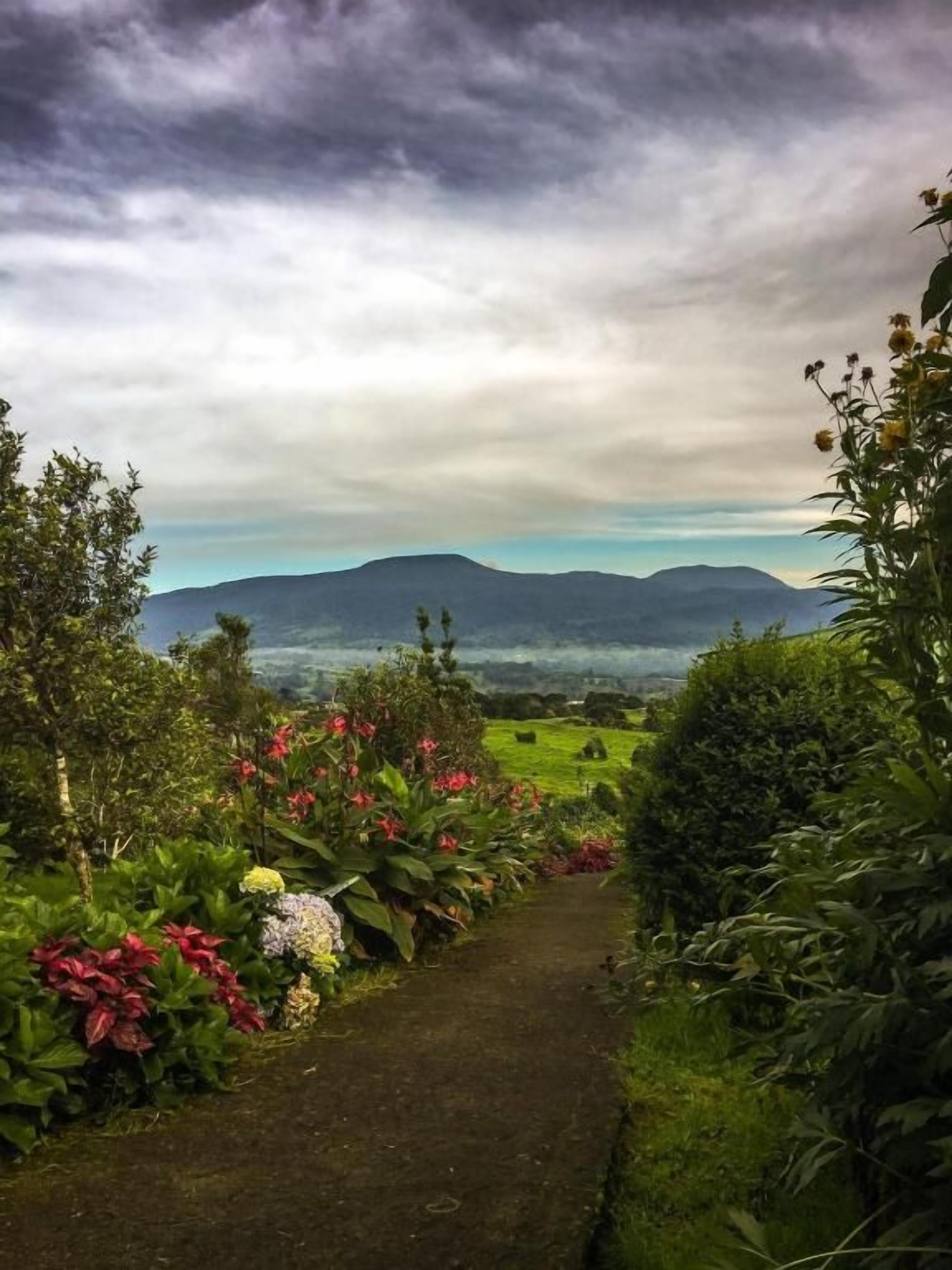Un sendero atraviesa un jardín con vistas a montañas distantes.