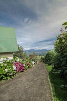 Um caminho leva a um edifício com telhado verde, rodeado por vegetação exuberante e flores.