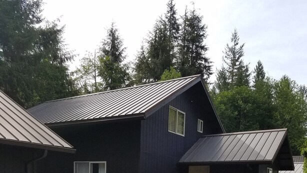 A dark-colored single-story house with a metal roof, a concrete driveway, and a gravel yard. - Forks & twilighters getaway at the edge of SolDuc River.. bike, hike, walk, fish (Forks)