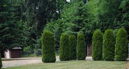 Haarukat ja twillers-loma SolDuc-joen reunalla .. pyörä, vaellus, kävely, kala