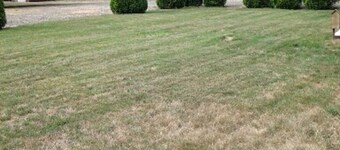 Forks & twilighters getaway at the edge of SolDuc River.. bike, hike, walk, fish