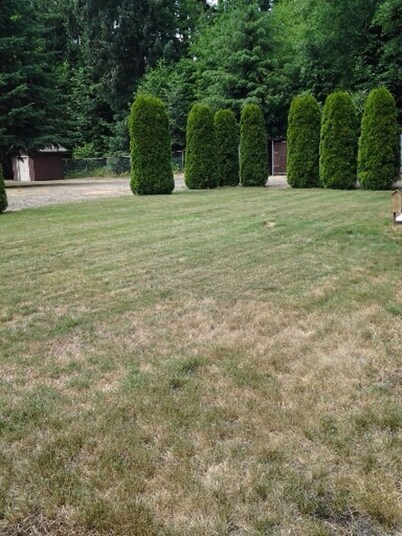 Escapada de horquillas y twilighters a la orilla del río SolDuc ... bicicleta, caminata, caminata, pesca