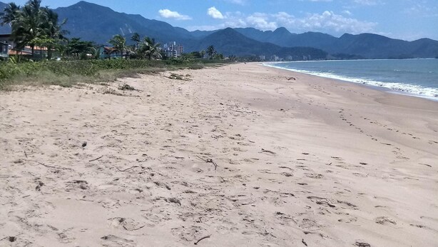 Una extensa playa arenosa con huellas, palmeras y montañas al fondo.