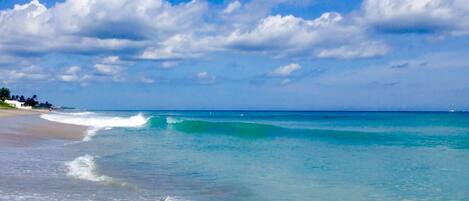Playa en los alrededores, camastros y toallas de playa
