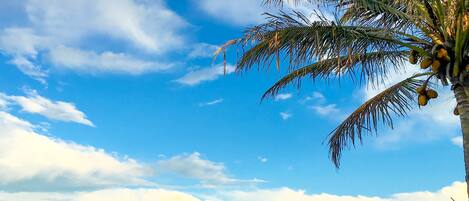 Beach nearby, sun loungers, beach towels