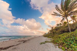 Playa en los alrededores, camastros y toallas de playa 