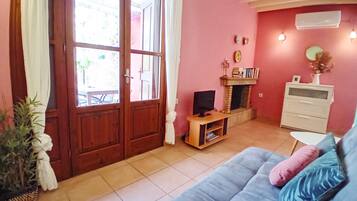 TV, fireplace, DVD player, books