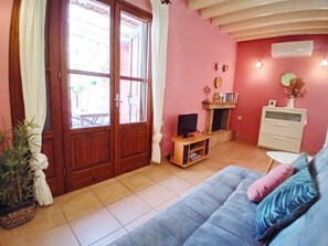 TV, fireplace, DVD player, books