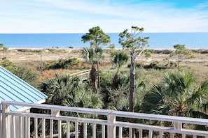 Property grounds - Pool, Gulf Front, Great Views ~ Gulfside GEM (Indian Pass)