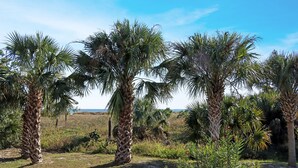 A paved walkway with palm trees and a grassy field in the background. - Pool, Gulf Front, Great Views ~ Gulfside GEM (Indian Pass)
