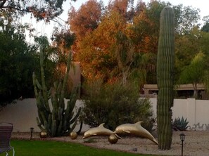 Overnattingsstedets uteområder