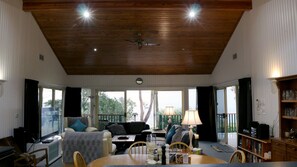 Smart TV, chimenea, reproductor de DVD, libros